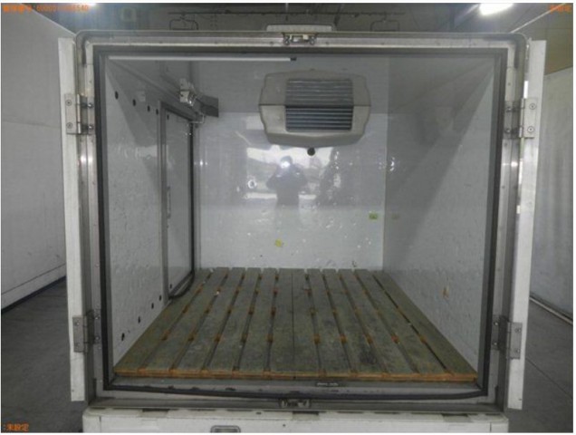CARRY FROZEN REFRIGERATION5
