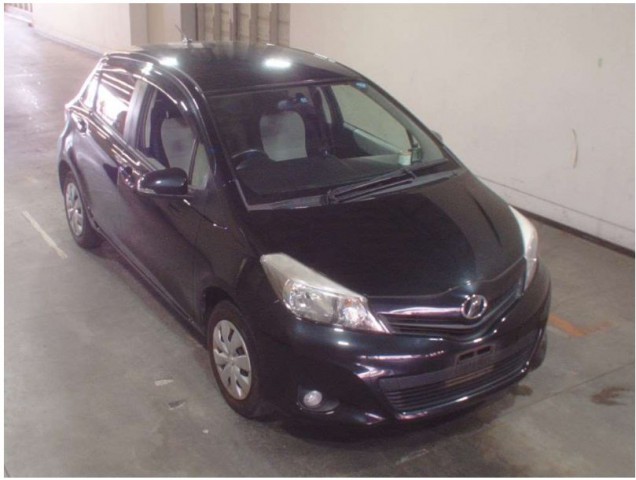 VITZ F1