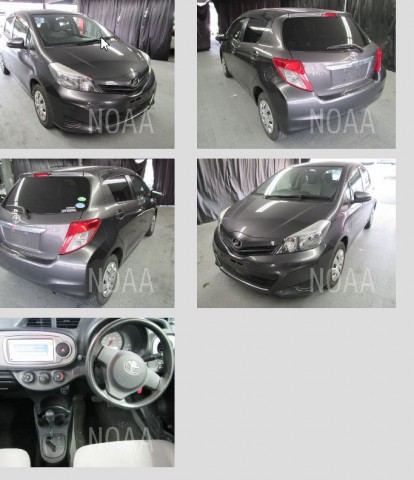 VITZ F1