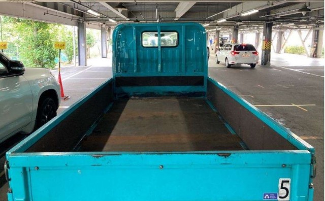 DYANA TRUCK 5